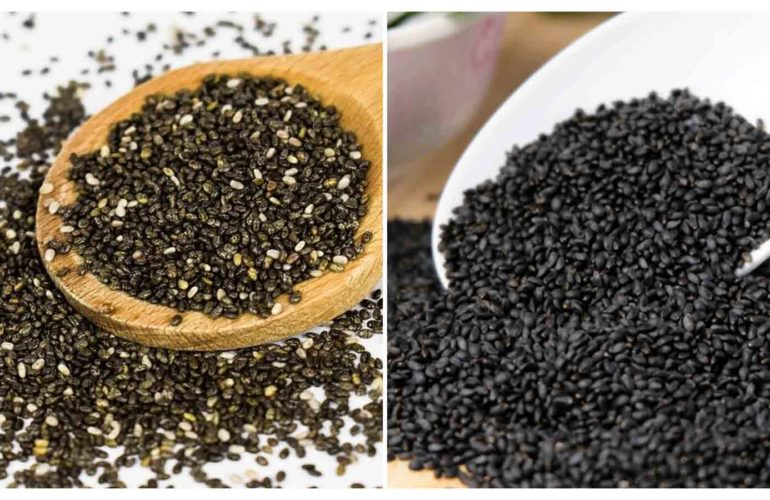 Chia Seeds vs Basil Seeds for Weight Loss