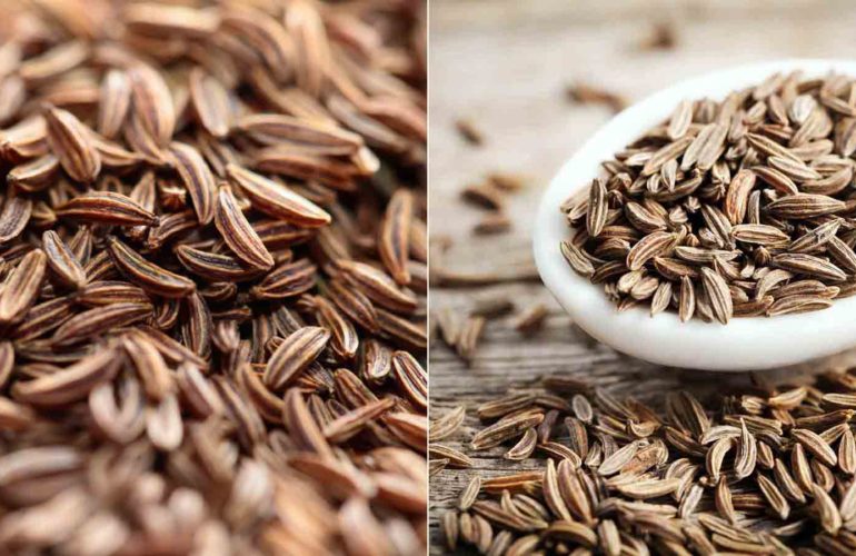 Cumin Seeds For Weight Loss