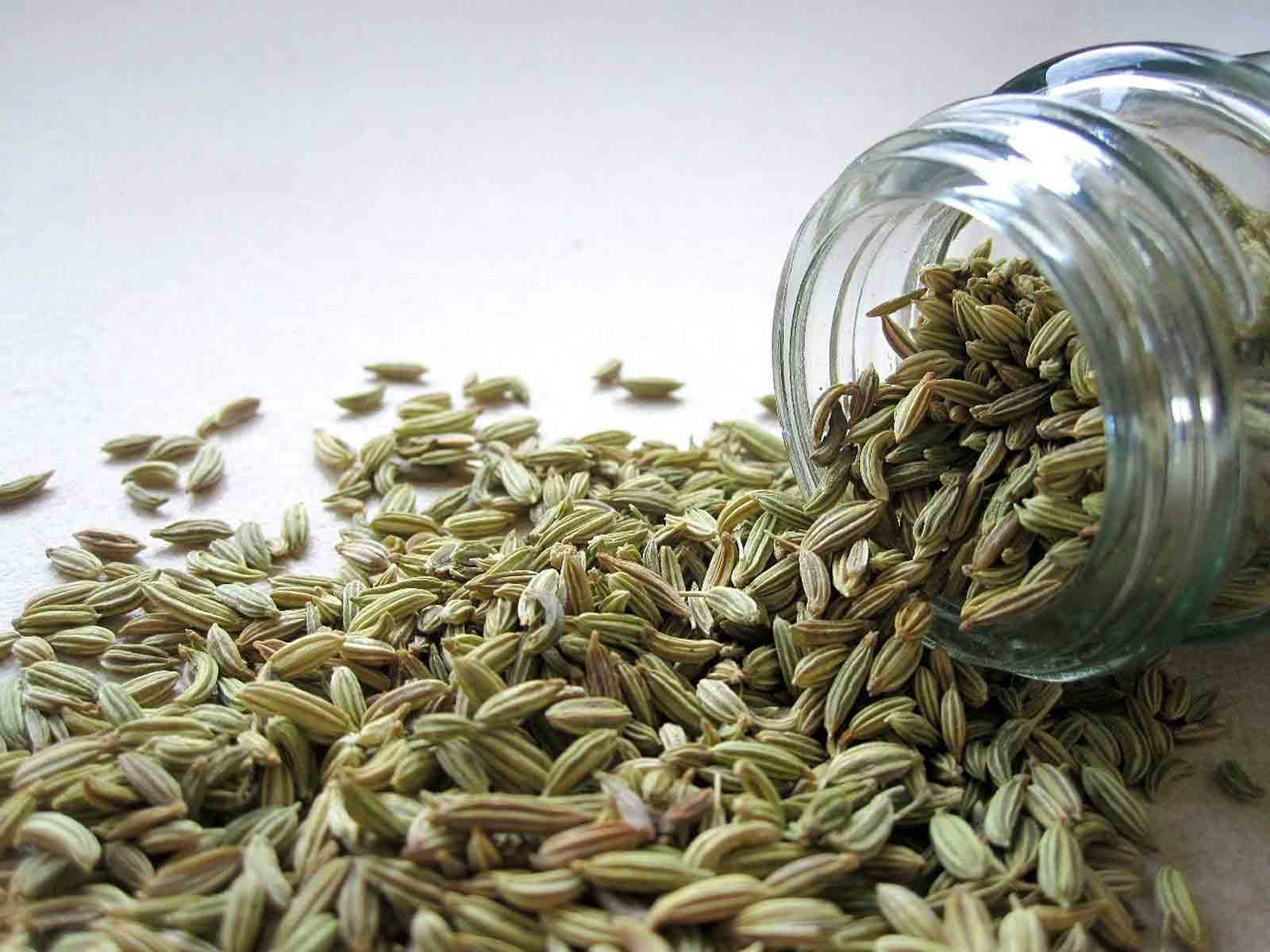 Fennel ( Saunf): Benefits, Uses & Dosage - Food Fitness & Fun