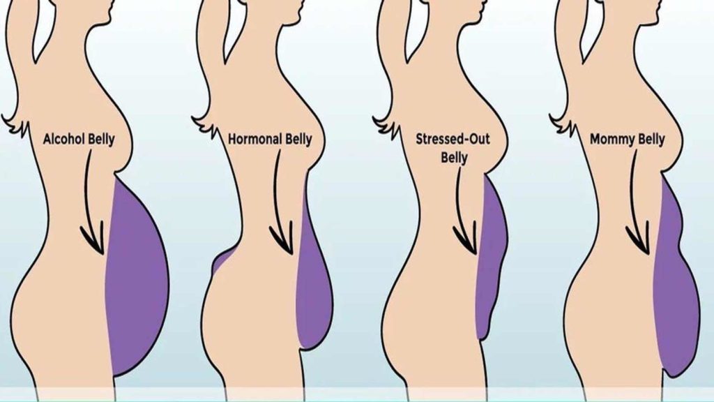 Types Of Belly Fat And How To Reduce It Food Fitness Fun