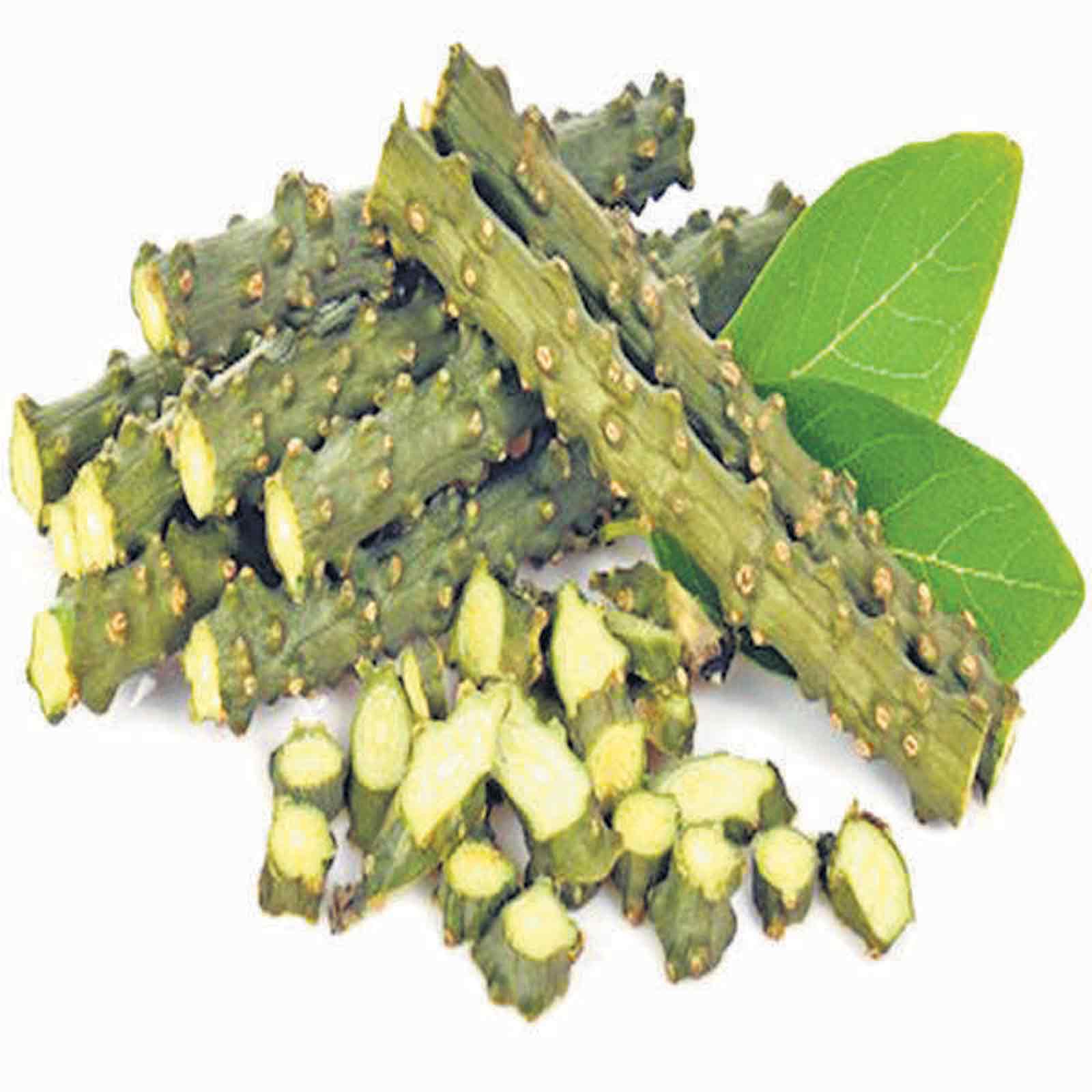 All About Giloy - Food Fitness & Fun